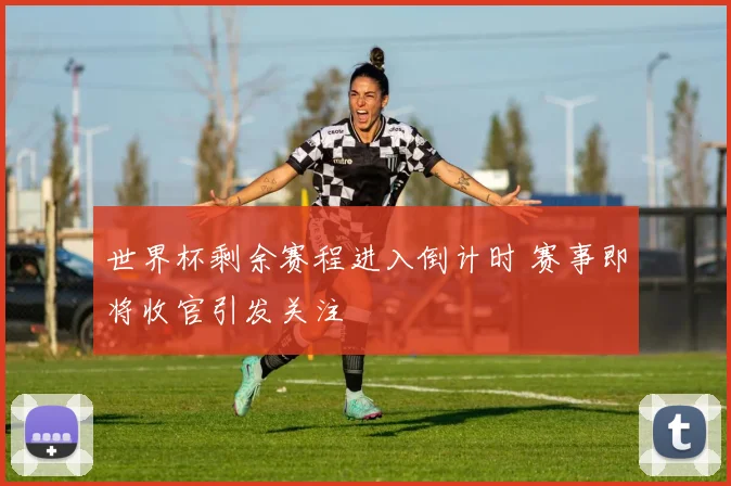 世界杯剩余赛程进入倒计时 赛事即将收官引发关注