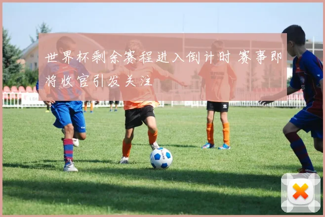 世界杯剩余赛程进入倒计时 赛事即将收官引发关注